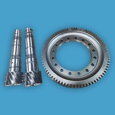 Karsan Jest 2.3L Ayna Mahruti Takım Dişli Seti 15x73 55207882